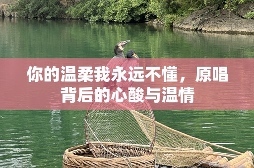 你的温柔我永远不懂，原唱背后的心酸与温情