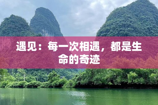 遇见：每一次相遇，都是生命的奇迹