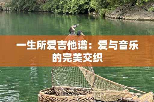 一生所爱吉他谱：爱与音乐的完美交织