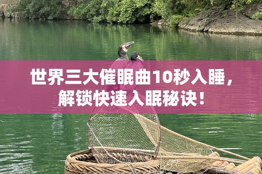 世界三大催眠曲10秒入睡，解锁快速入眠秘诀！