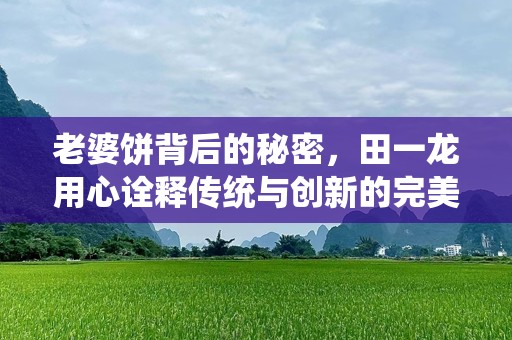 老婆饼背后的秘密，田一龙用心诠释传统与创新的完美结合