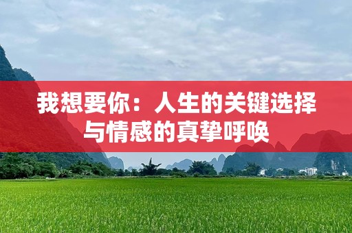 我想要你：人生的关键选择与情感的真挚呼唤