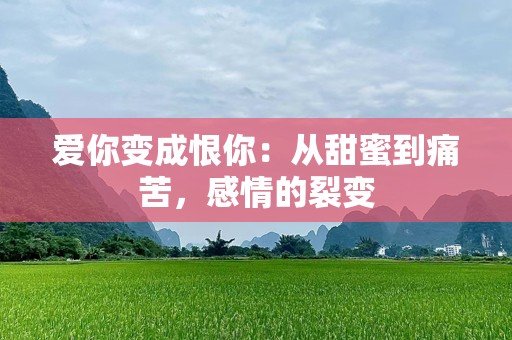 爱你变成恨你：从甜蜜到痛苦，感情的裂变