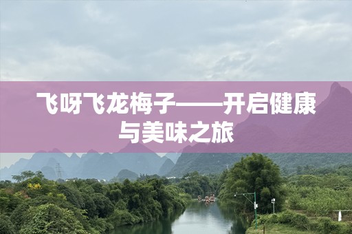 飞呀飞龙梅子——开启健康与美味之旅