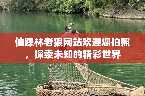 仙踪林老狼网站欢迎您拍照，探索未知的精彩世界