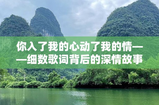 你入了我的心动了我的情——细数歌词背后的深情故事