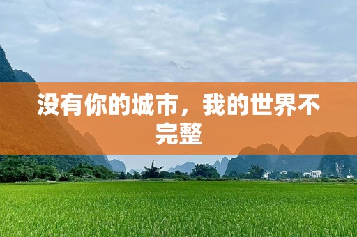 没有你的城市，我的世界不完整