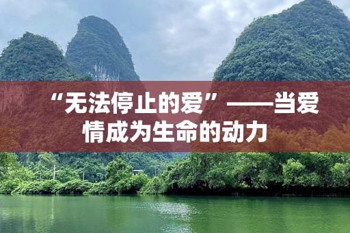 “无法停止的爱”——当爱情成为生命的动力