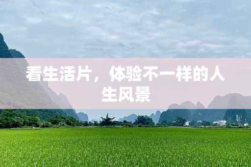 看生活片，体验不一样的人生风景
