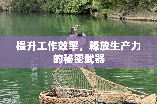 提升工作效率，释放生产力的秘密武器