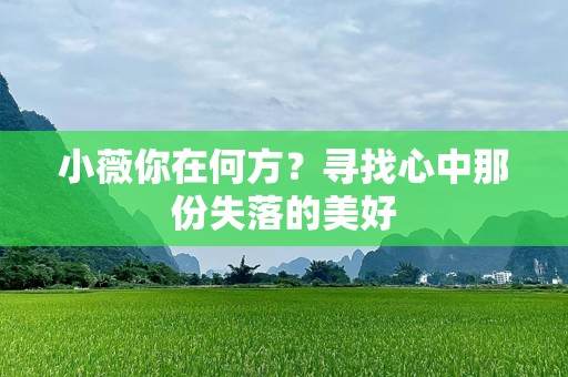 小薇你在何方？寻找心中那份失落的美好