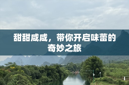 甜甜咸咸，带你开启味蕾的奇妙之旅