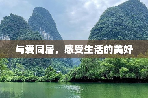与爱同居，感受生活的美好