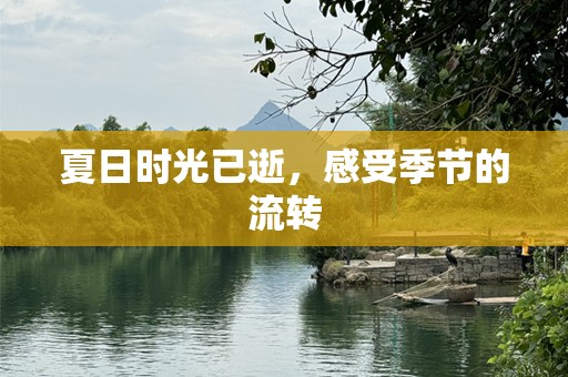 夏日时光已逝，感受季节的流转