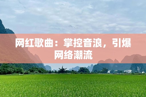 网红歌曲：掌控音浪，引爆网络潮流