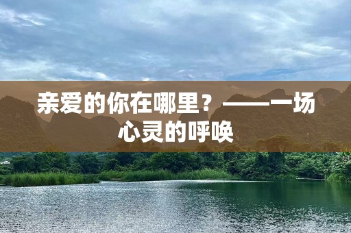 亲爱的你在哪里？——一场心灵的呼唤