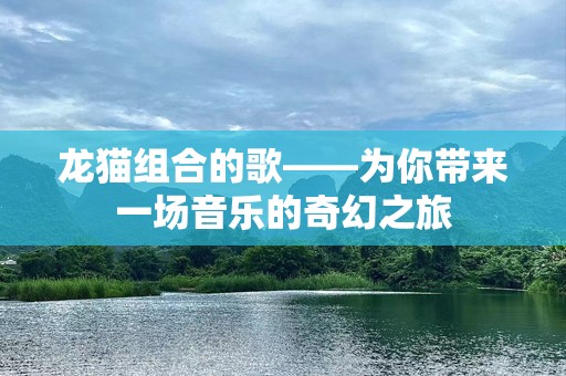 龙猫组合的歌——为你带来一场音乐的奇幻之旅