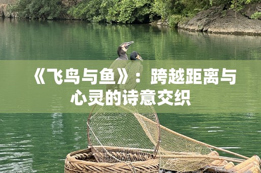 《飞鸟与鱼》：跨越距离与心灵的诗意交织