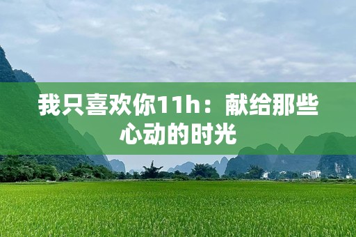 我只喜欢你11h：献给那些心动的时光