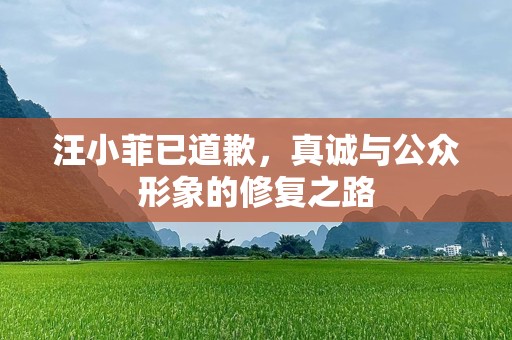 汪小菲已道歉，真诚与公众形象的修复之路