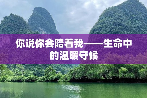 你说你会陪着我——生命中的温暖守候