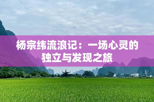 杨宗纬流浪记：一场心灵的独立与发现之旅