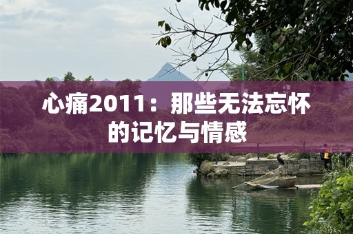心痛2011：那些无法忘怀的记忆与情感