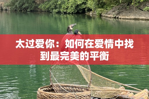 太过爱你：如何在爱情中找到最完美的平衡