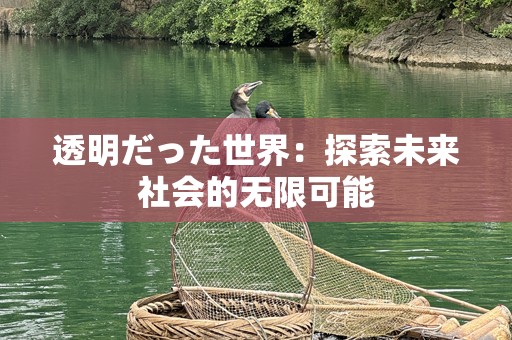 透明だった世界：探索未来社会的无限可能
