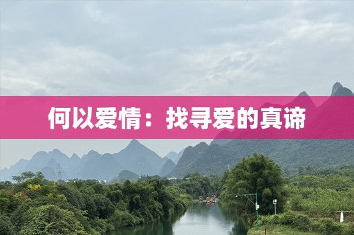 何以爱情：找寻爱的真谛