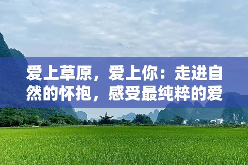 爱上草原，爱上你：走进自然的怀抱，感受最纯粹的爱情