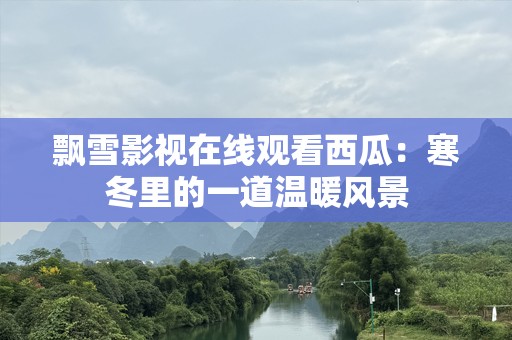 飘雪影视在线观看西瓜：寒冬里的一道温暖风景