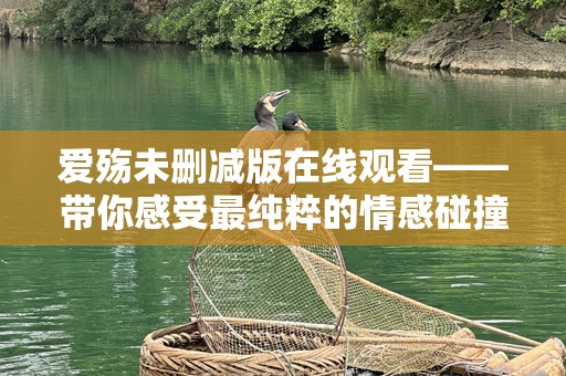 爱殇未删减版在线观看——带你感受最纯粹的情感碰撞