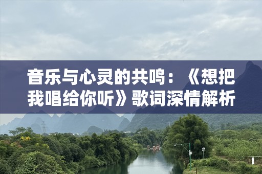 音乐与心灵的共鸣：《想把我唱给你听》歌词深情解析