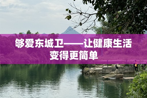 够爱东城卫——让健康生活变得更简单
