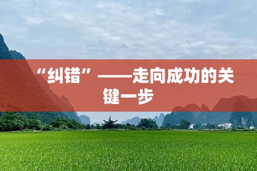 “纠错”——走向成功的关键一步