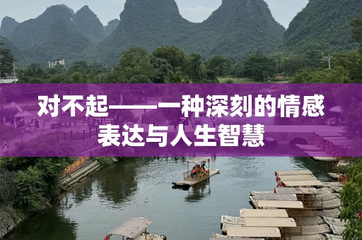 对不起——一种深刻的情感表达与人生智慧