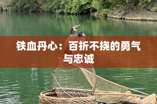 铁血丹心：百折不挠的勇气与忠诚