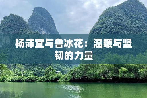 杨沛宜与鲁冰花：温暖与坚韧的力量