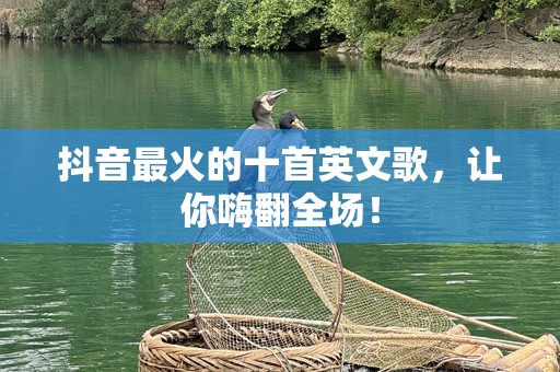 抖音最火的十首英文歌，让你嗨翻全场！