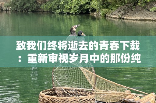 致我们终将逝去的青春下载：重新审视岁月中的那份纯真与悸动