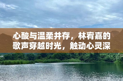 心酸与温柔并存，林宥嘉的歌声穿越时光，触动心灵深处