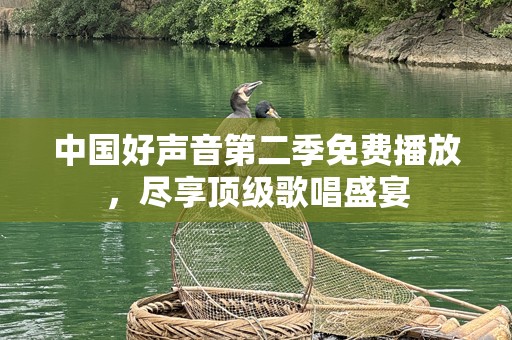 中国好声音第二季免费播放，尽享顶级歌唱盛宴