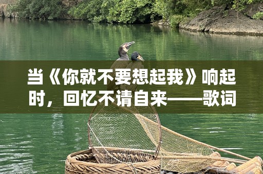 当《你就不要想起我》响起时，回忆不请自来——歌词背后的情感共鸣
