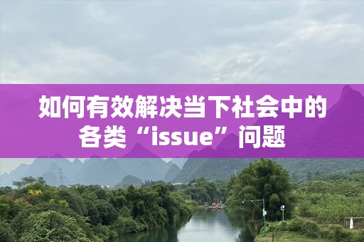 如何有效解决当下社会中的各类“issue”问题