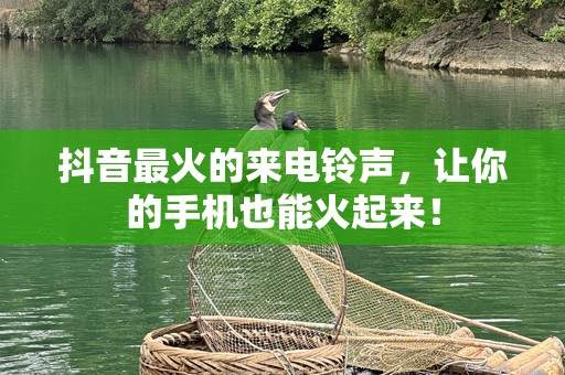 抖音最火的来电***，让你的手机也能火起来！