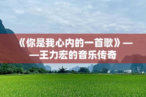 《你是我心内的一首歌》——王力宏的音乐传奇