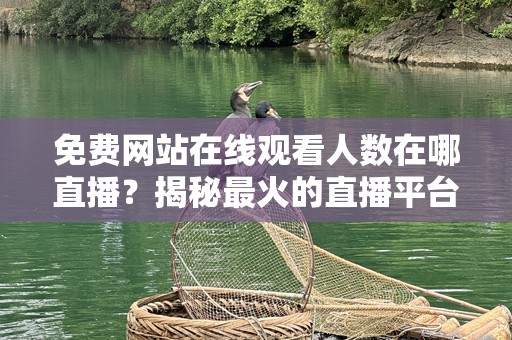 免费网站在线观看人数在哪直播？揭秘最火的直播平台！