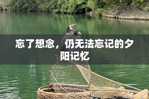 忘了想念，仍无法忘记的夕阳记忆