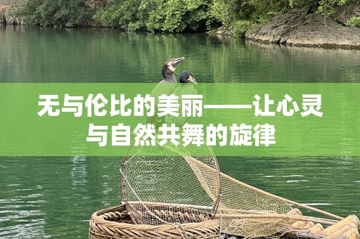 无与伦比的美丽——让心灵与自然共舞的旋律